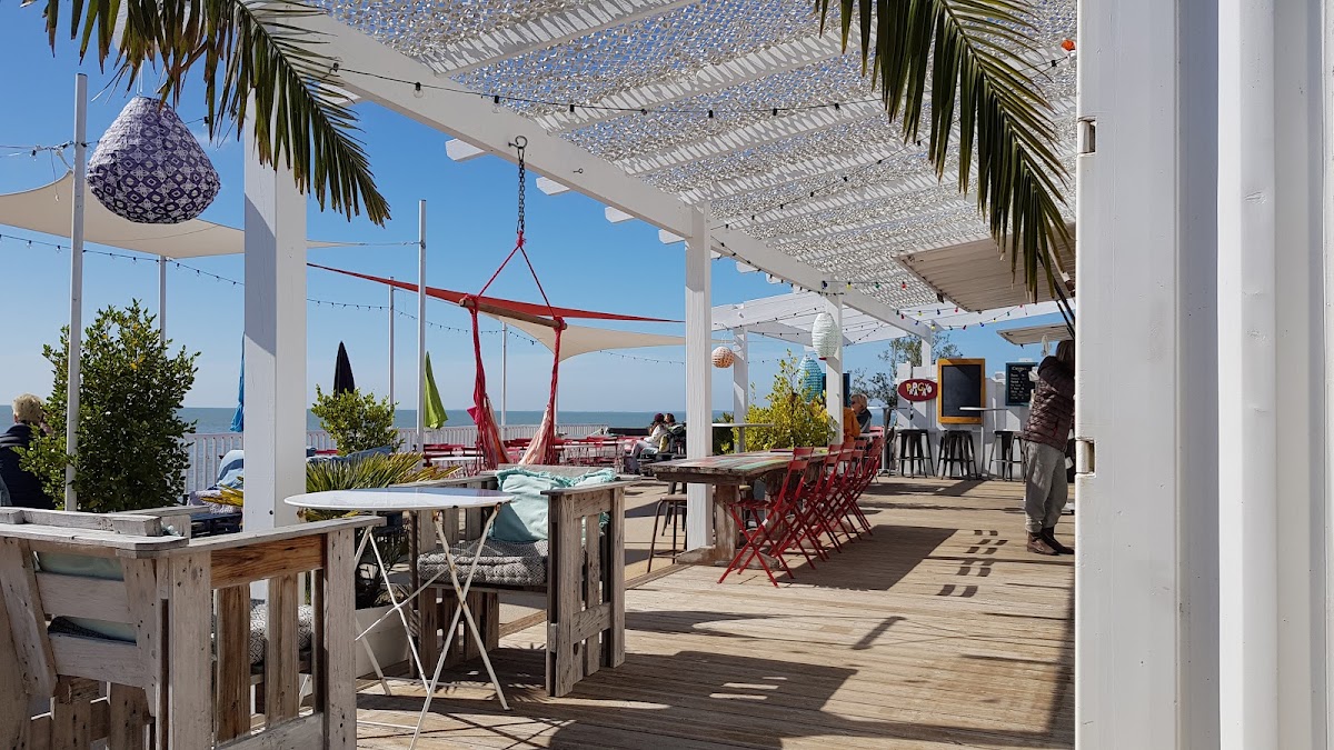 Le Papagayo
