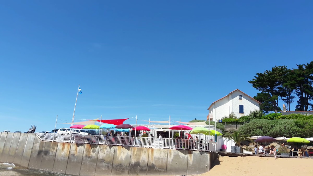 Le Papagayo-2