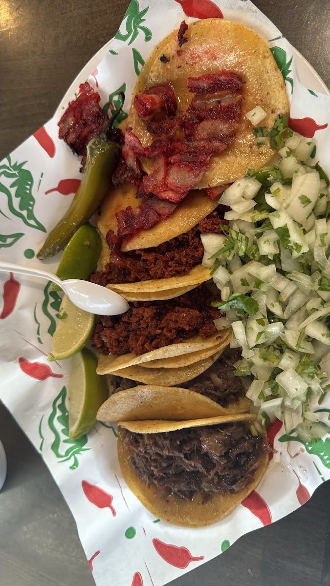 Lemmon Street Tacos Taqueria-4