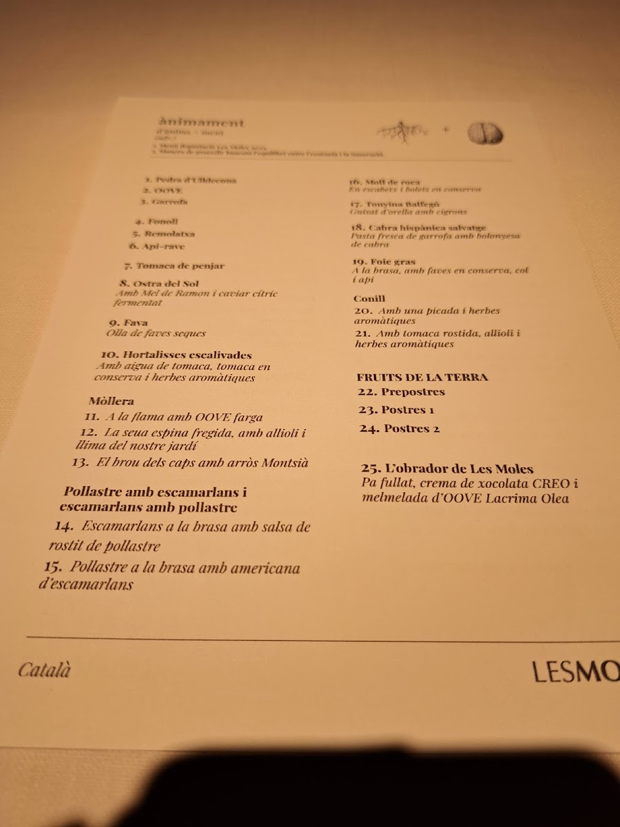 Menu Les Moles-2