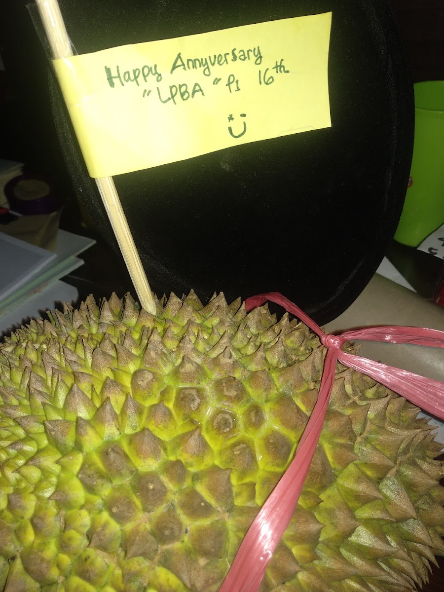 Lesehan Kendi Mas Jaya, Tambakrejo-8