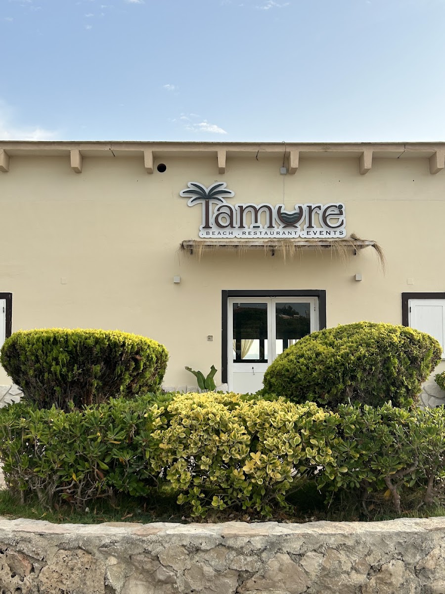 Lido Tamurè