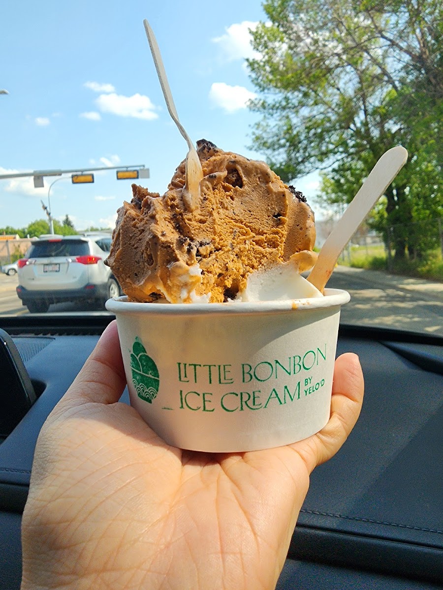 Little Bonbon Ice Cream By Yelo'd-4