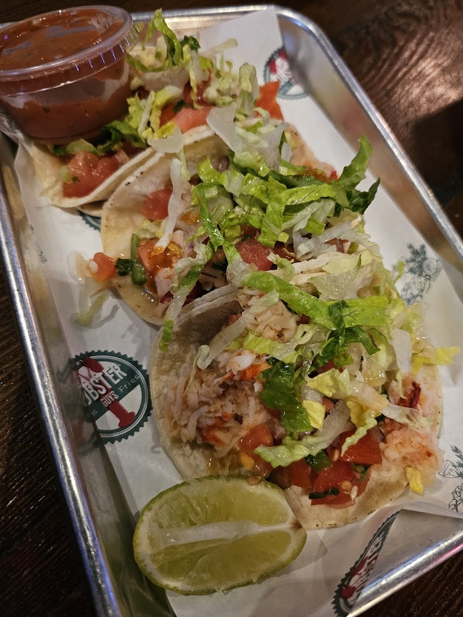 Lobster & Beer-6