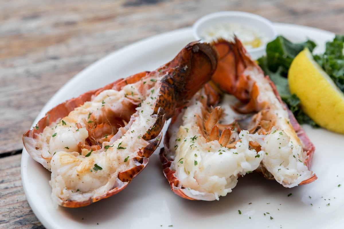 Lobster & Beer-9