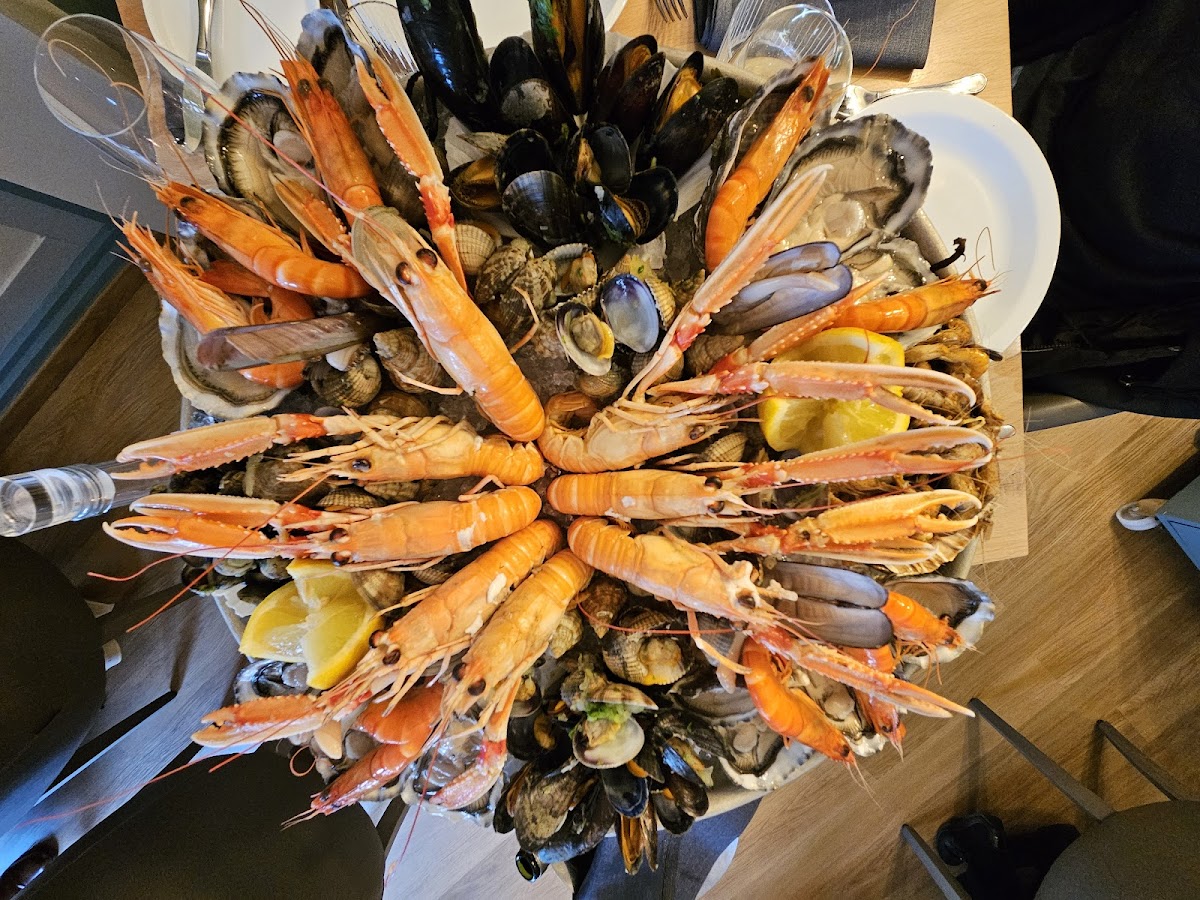 Lobster-4
