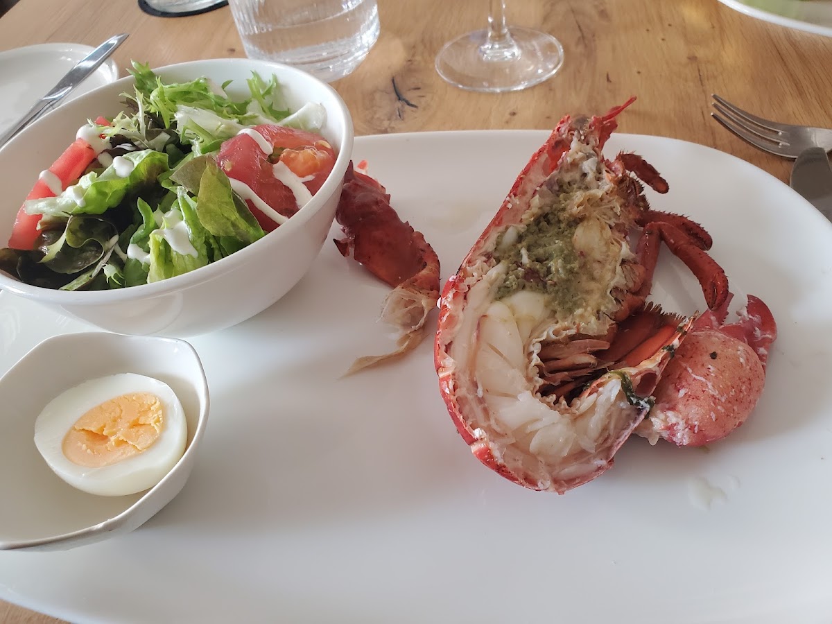 Lobster-5