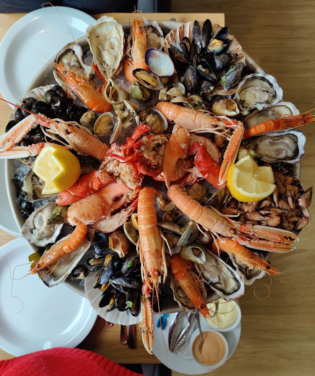 Lobster-6