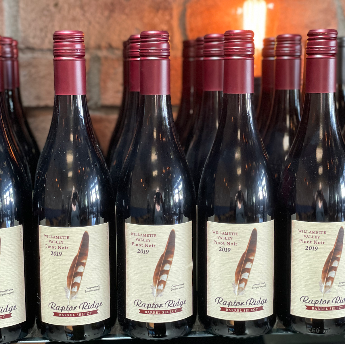 Local Kitchen & Wine Bar-10