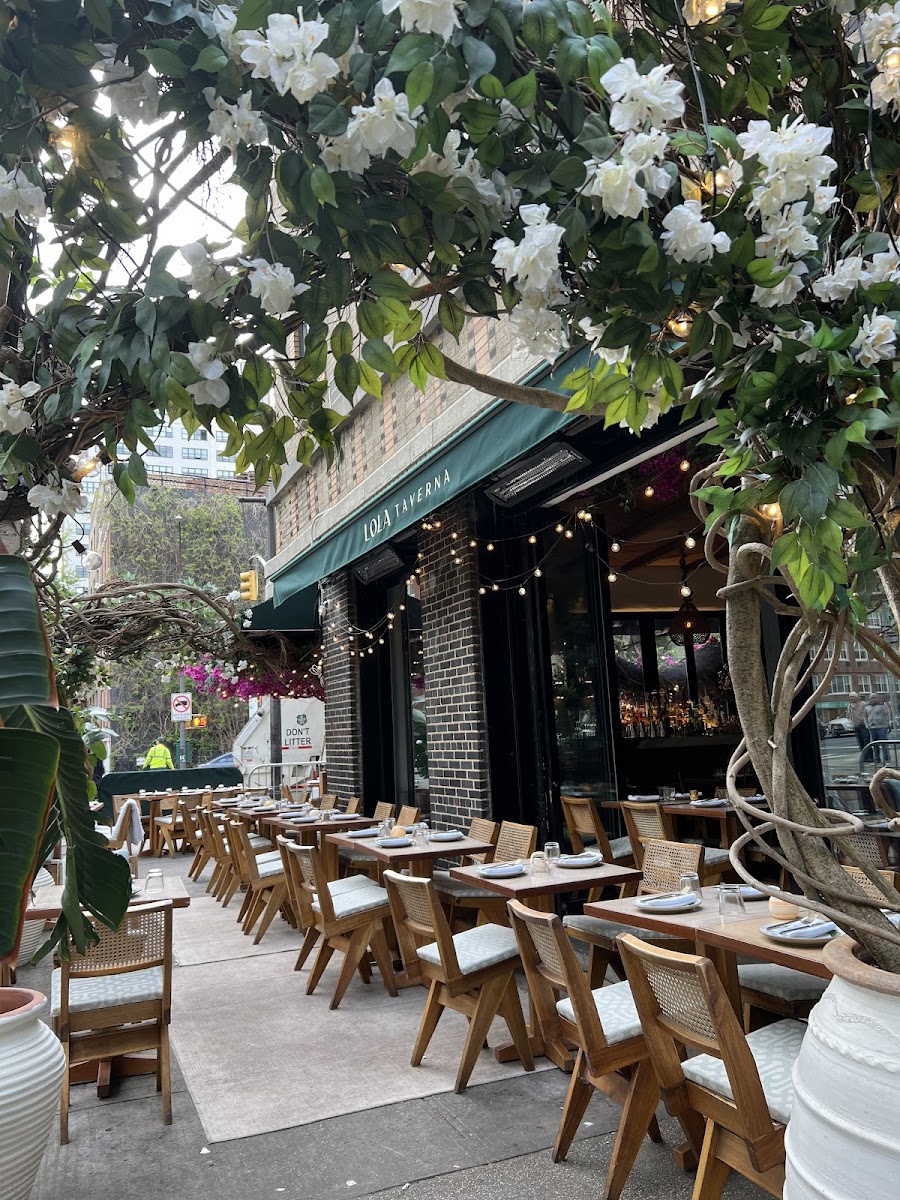 Lola Taverna