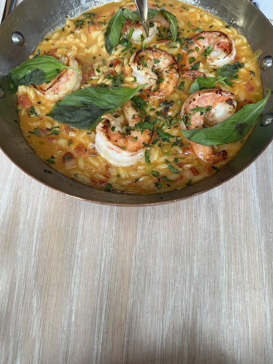 Lola Taverna-5