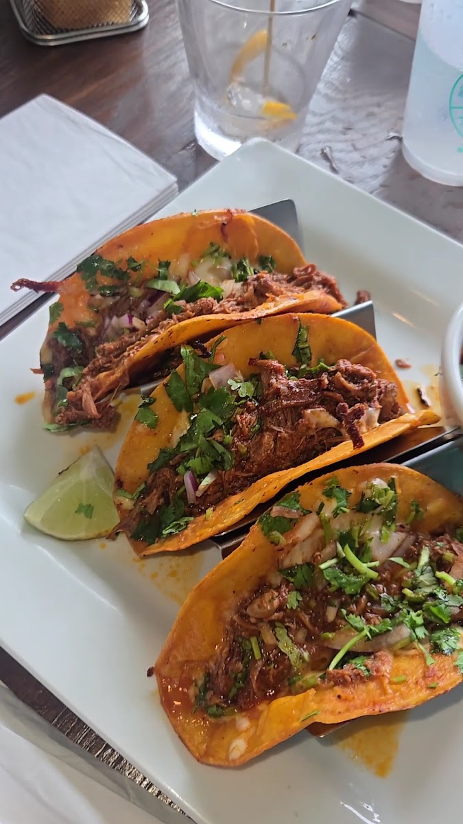 Lola's Beach Cantina-2