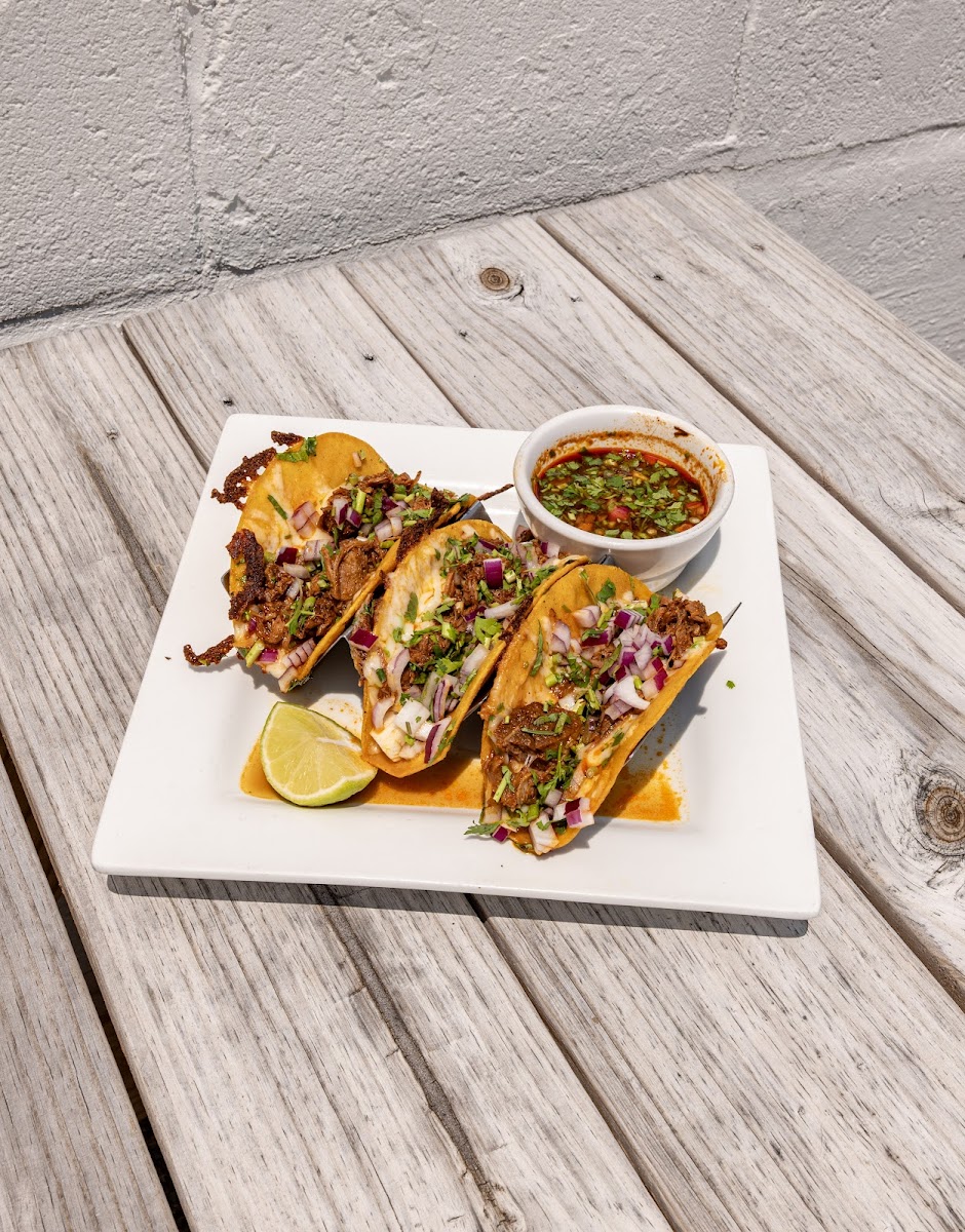Lola's Beach Cantina-5