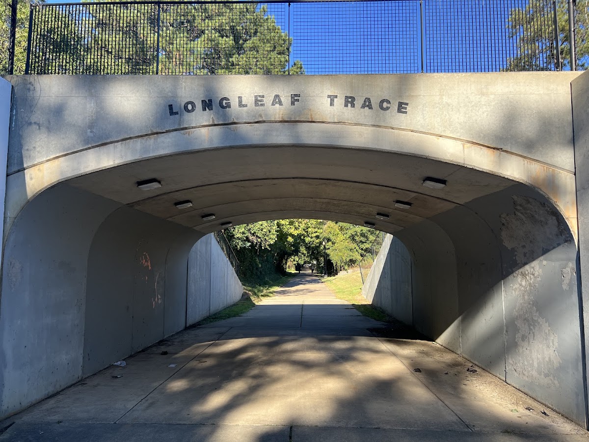 Longleaf Trace-2