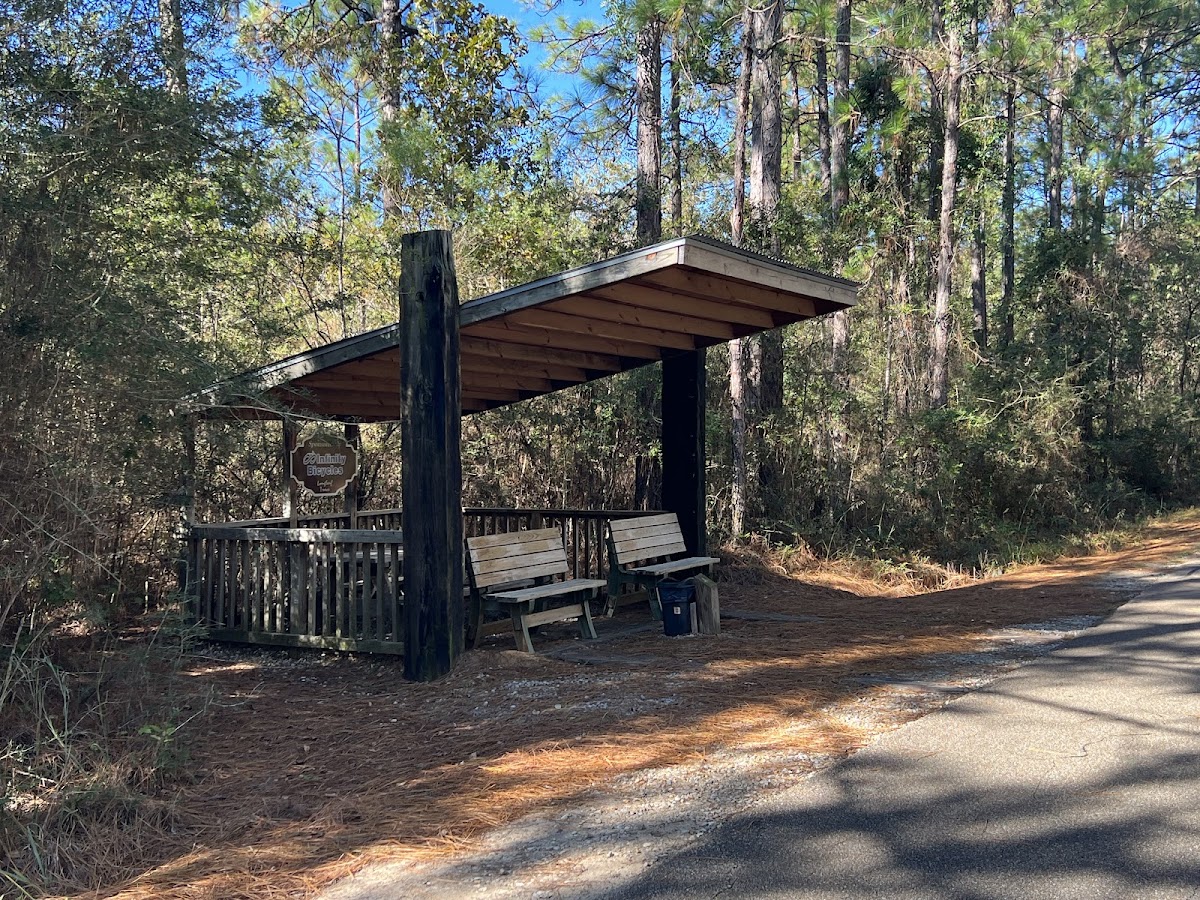 Longleaf Trace-4