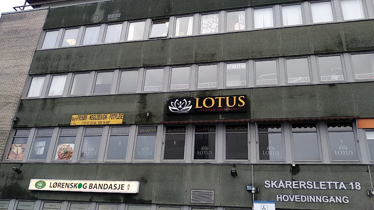 Lotus Asian Cuisine-4