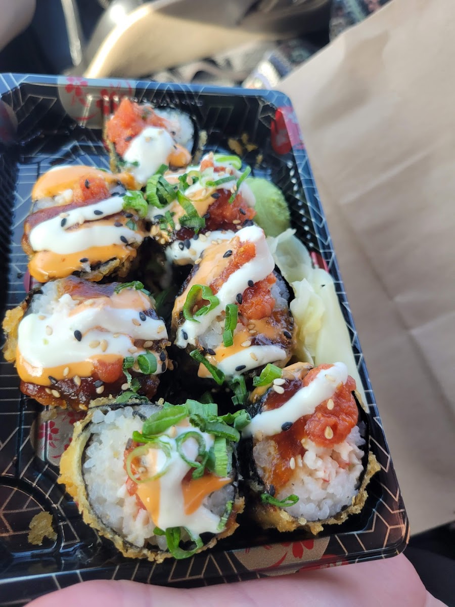 Lucky Fins Greeley-9
