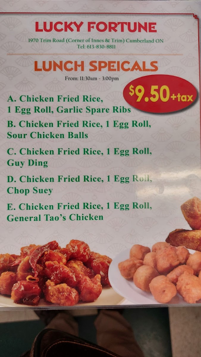 Menu Lucky Fortune Chinese Food-7