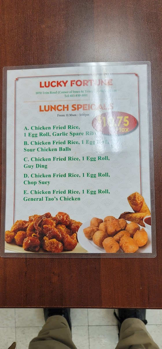 Menu Lucky Fortune Chinese Food-9