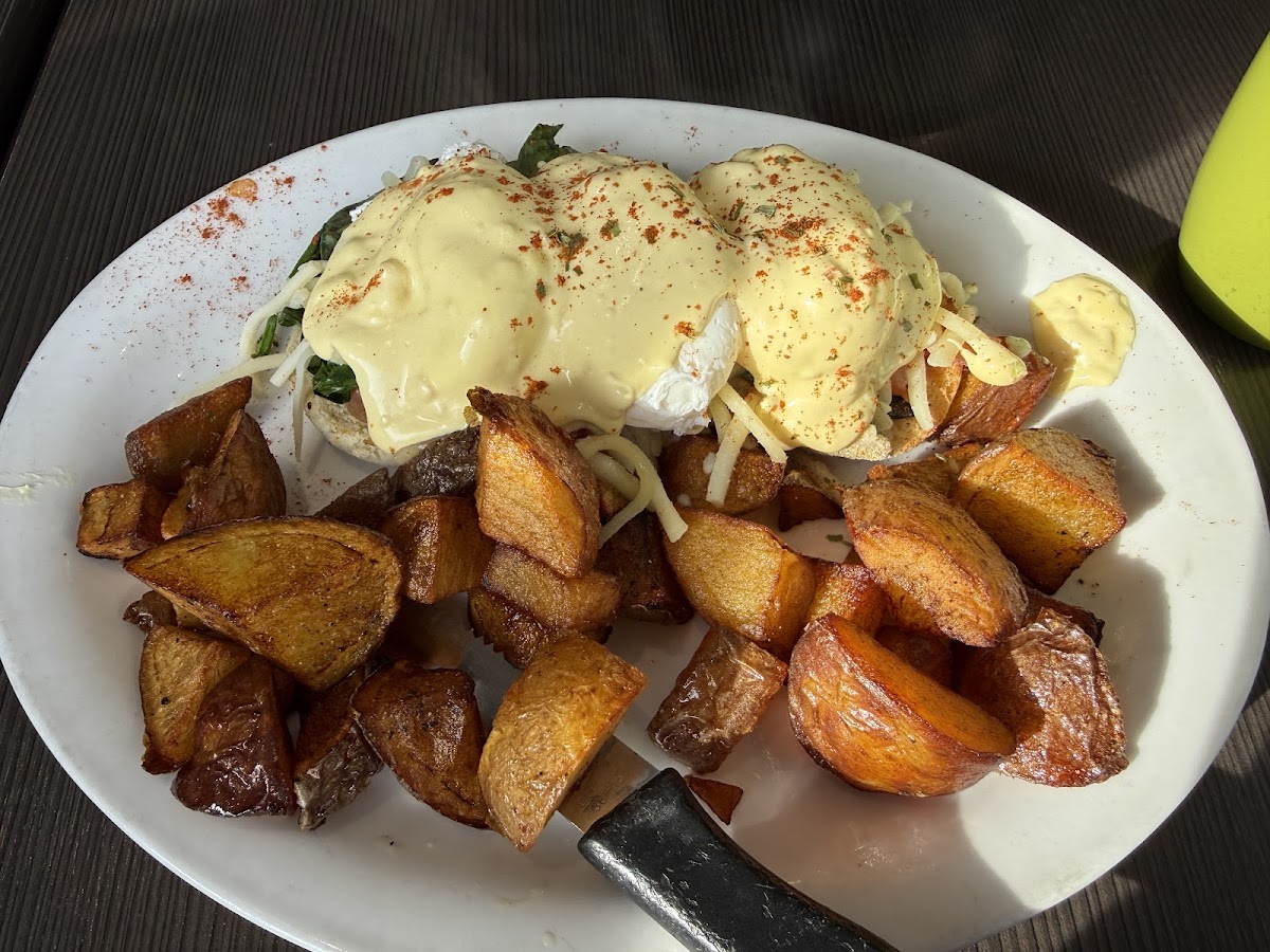 Maggie's Diner-2
