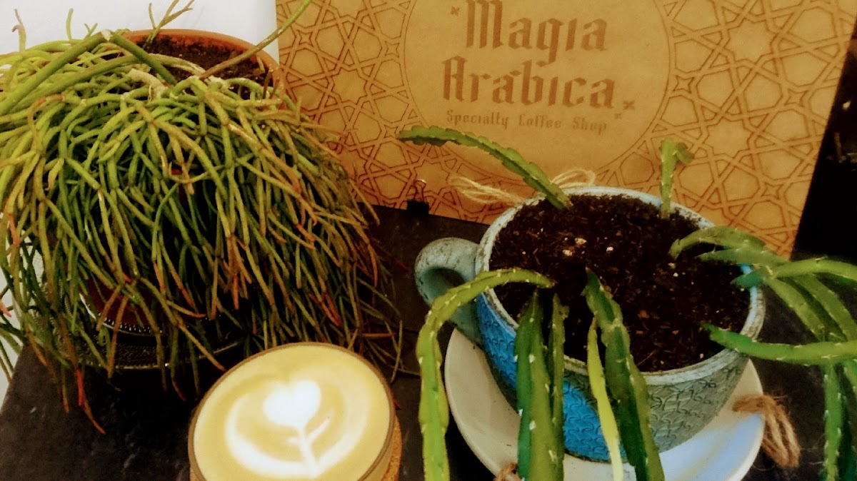 Magia Arábica-3