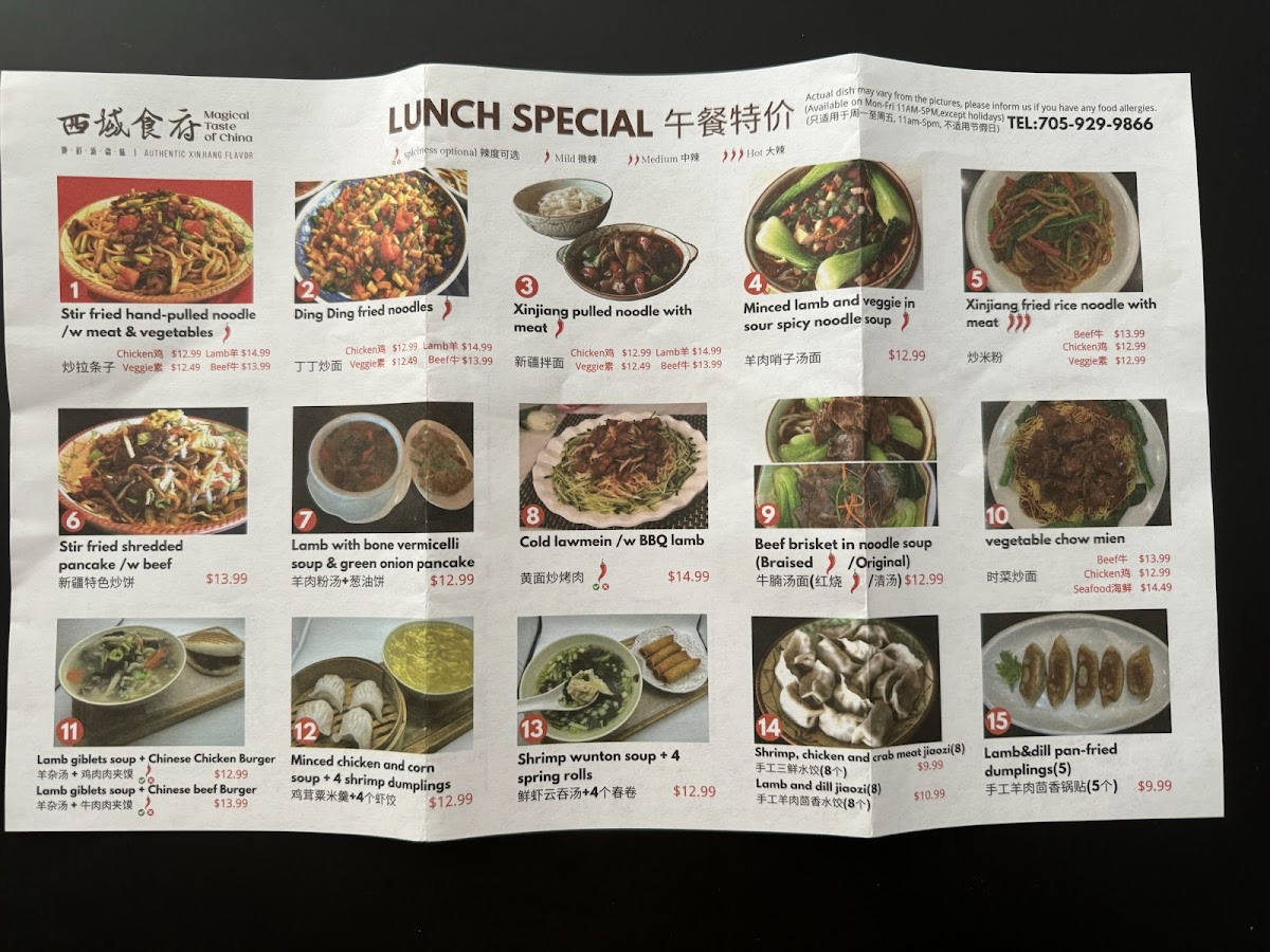Menu Magical Taste Of China·barrie|西域食府·清真|Chinese Restaurant |Halal Cuisine-6