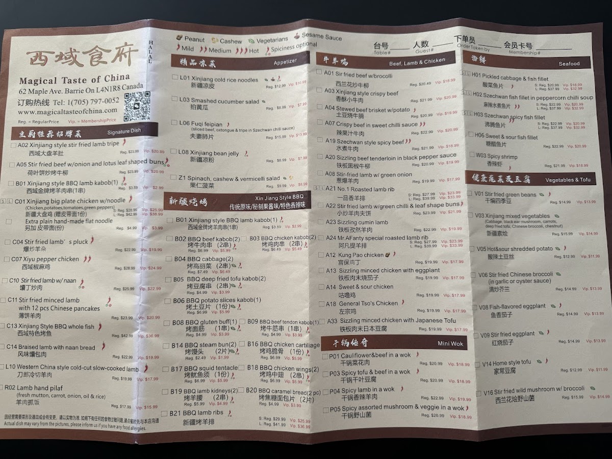 Menu Magical Taste Of China·barrie|西域食府·清真|Chinese Restaurant |Halal Cuisine-9