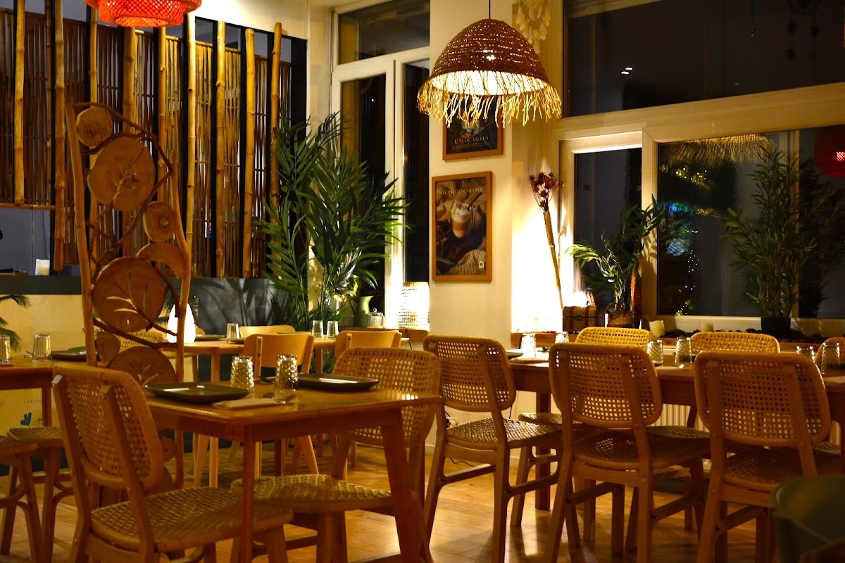 Maison Avocado