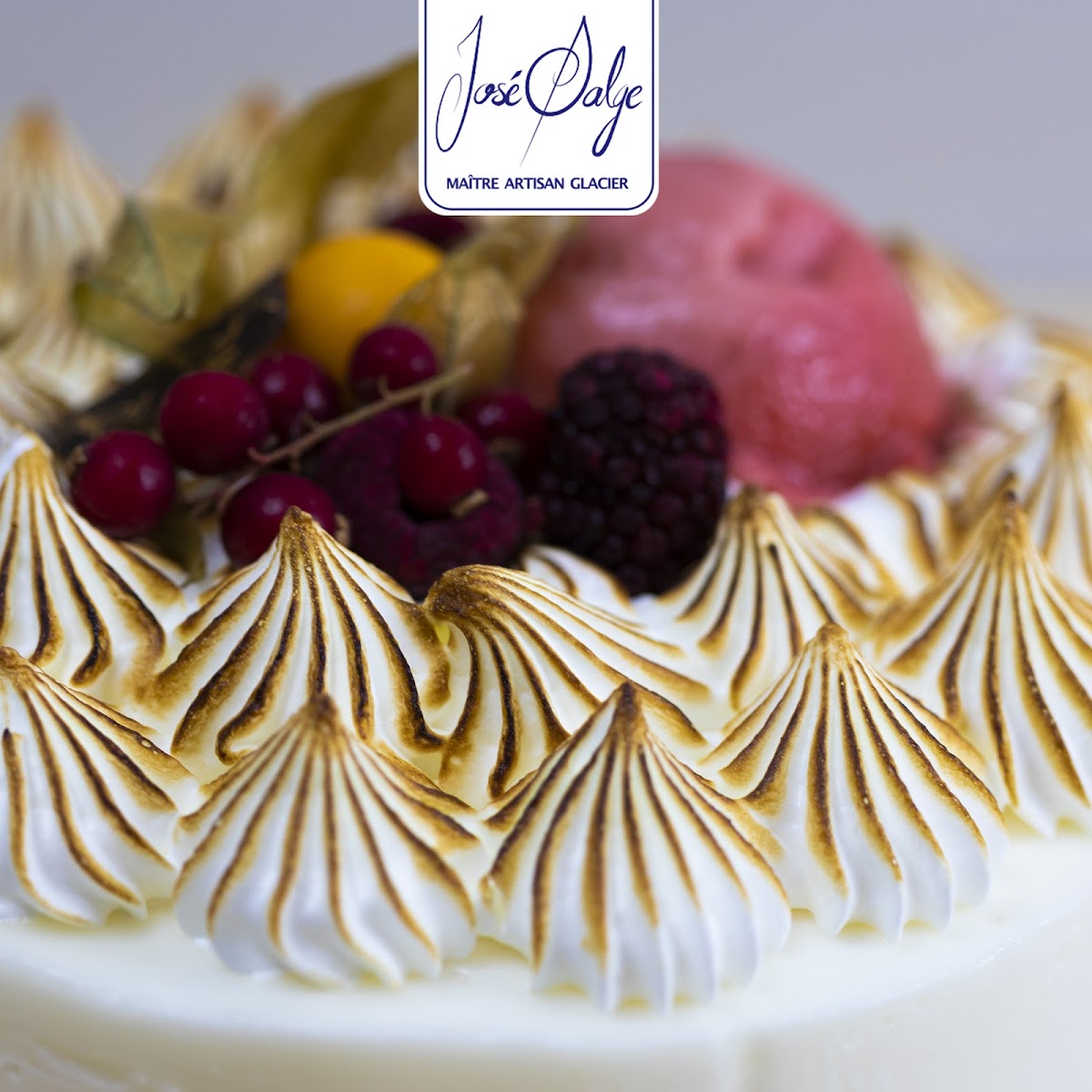 Maison Salge - Glaces Artisanales De Corse-9