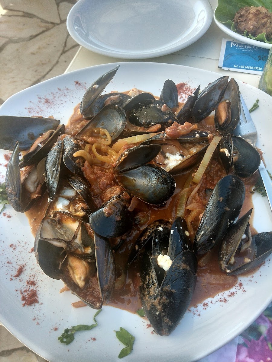 Maistro-8
