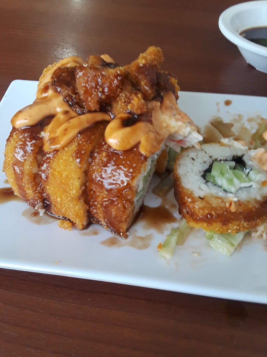 Maki Roll-9