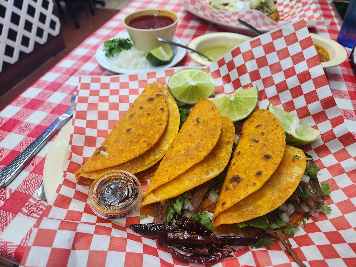 Mami Felipa Cocina Mexicana-5