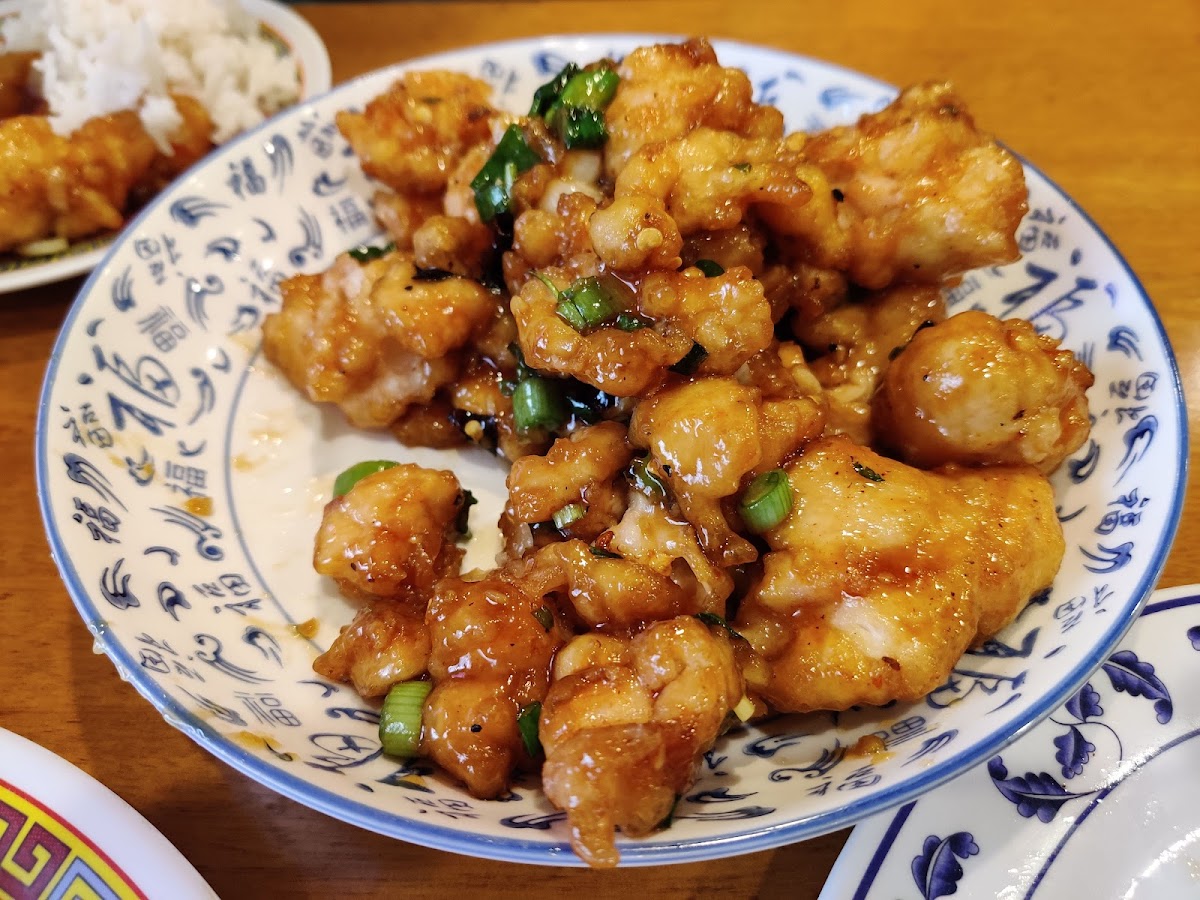 Mandarin Noodle House-9