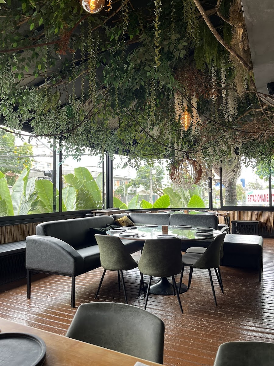 Mango Café Brazil