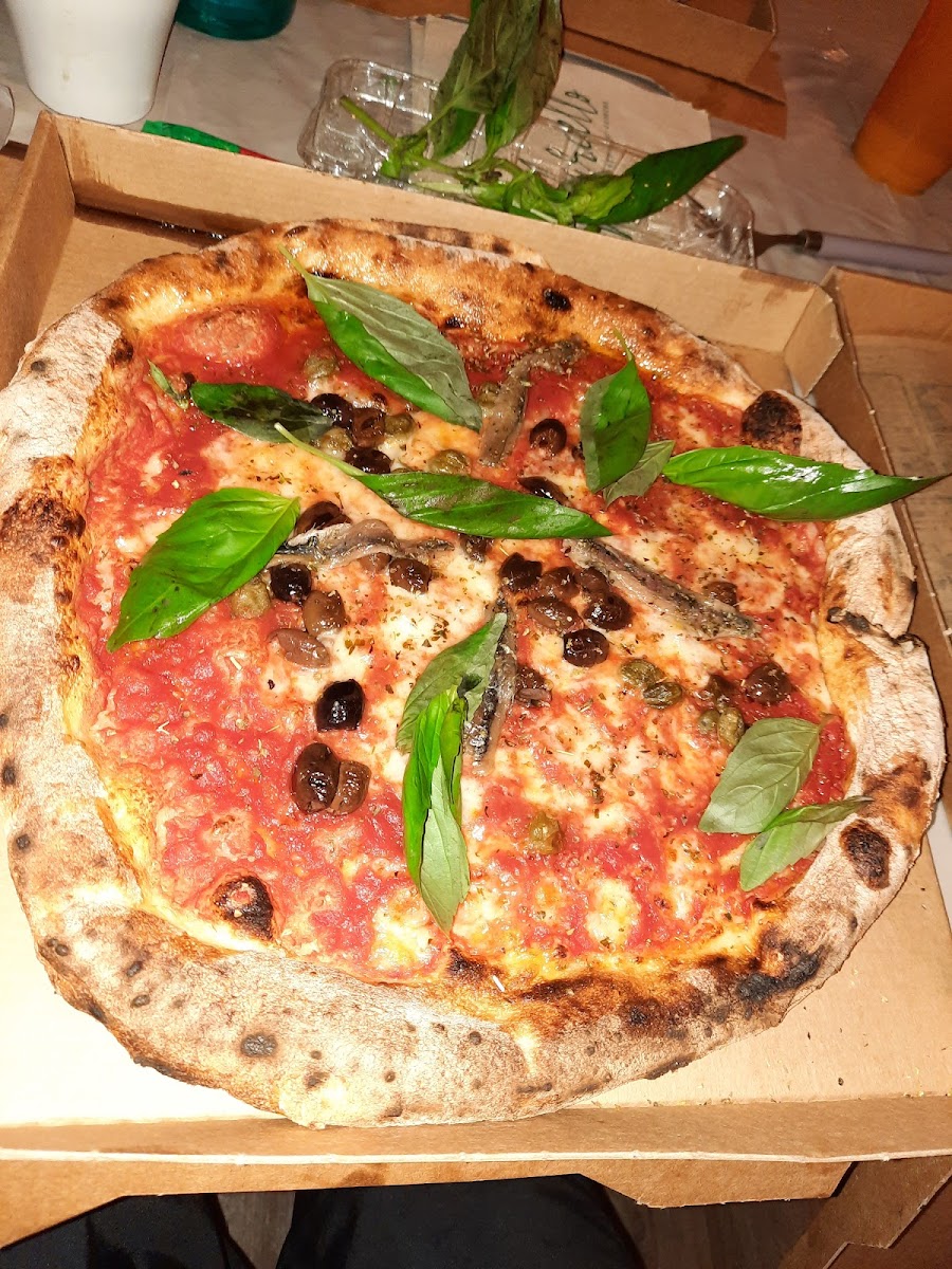 Marcello Saint-Georges-6