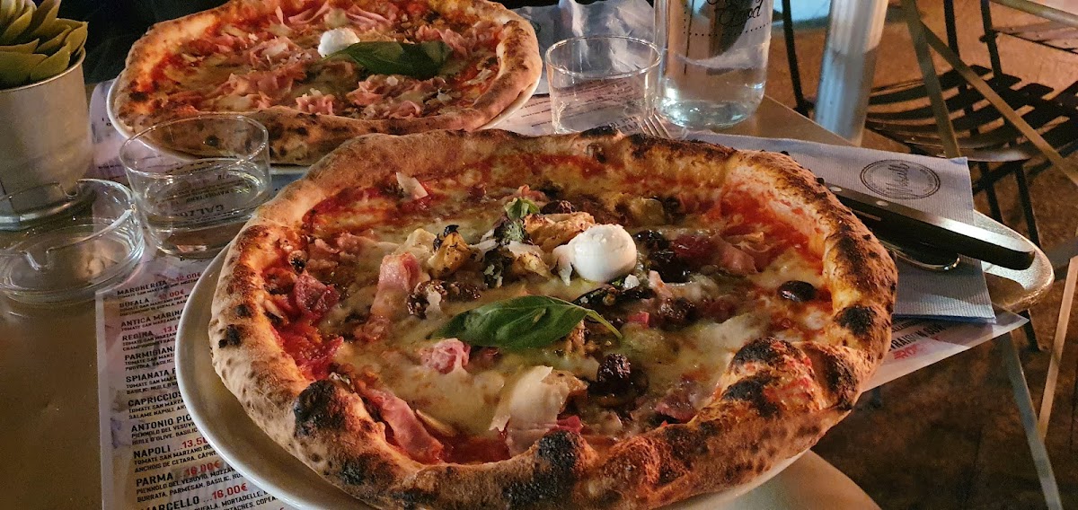 Marcello Saint-Georges-9