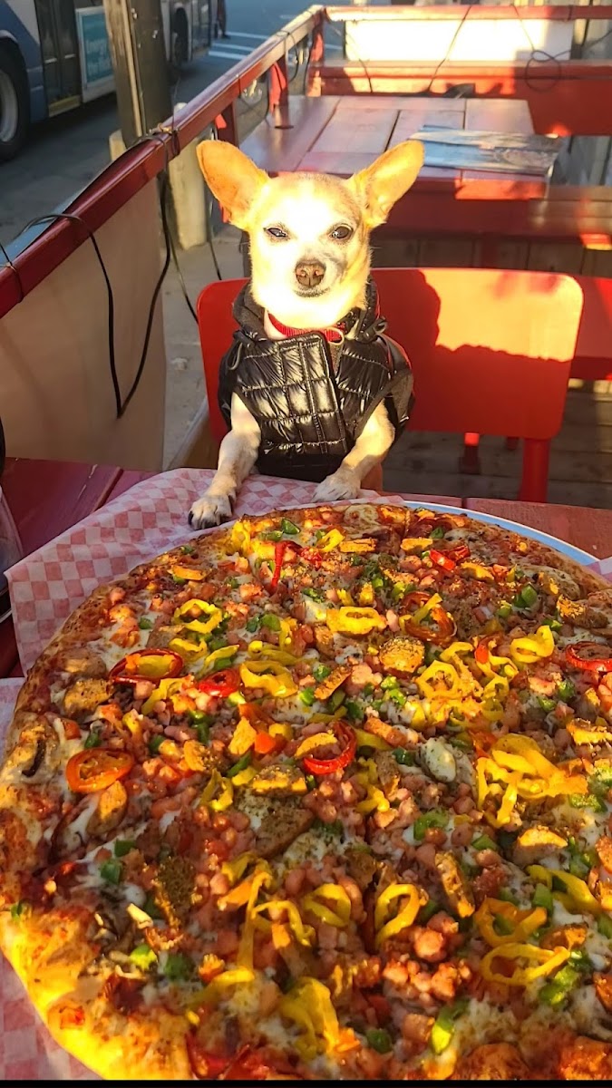 Marthas Pizza || Halifax-10