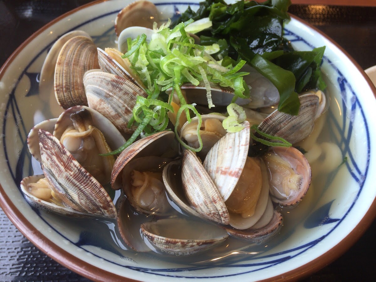 Marugame Seimen Hachinohe-7