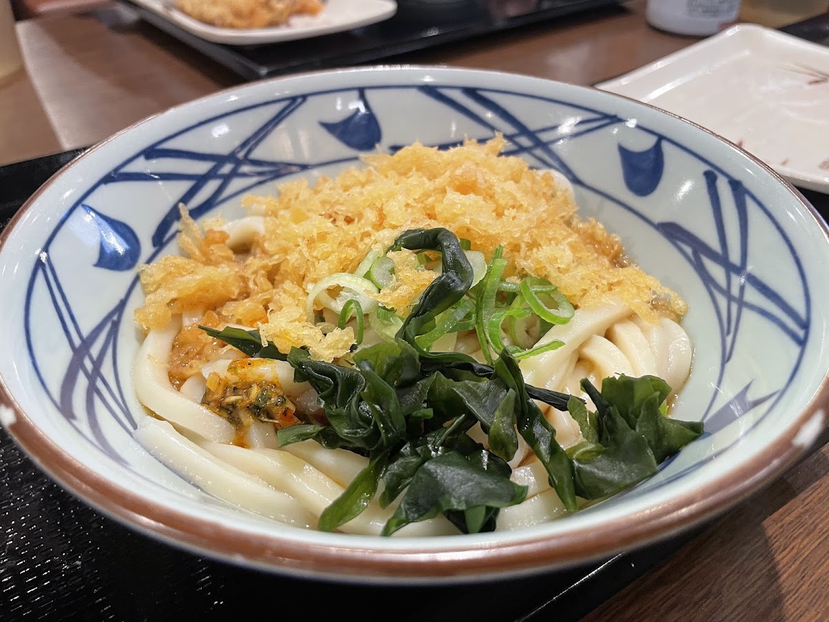 Marugame Seimen Taketoyo-4