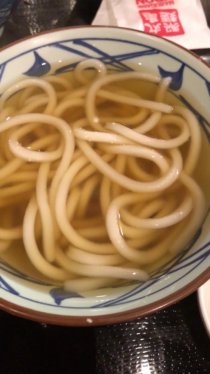 Marugame Udon - Udon And Tempura-2