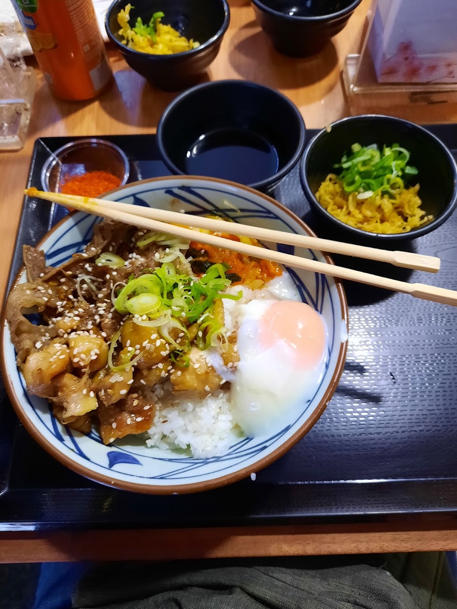 Marugame Udon - Udon And Tempura-9