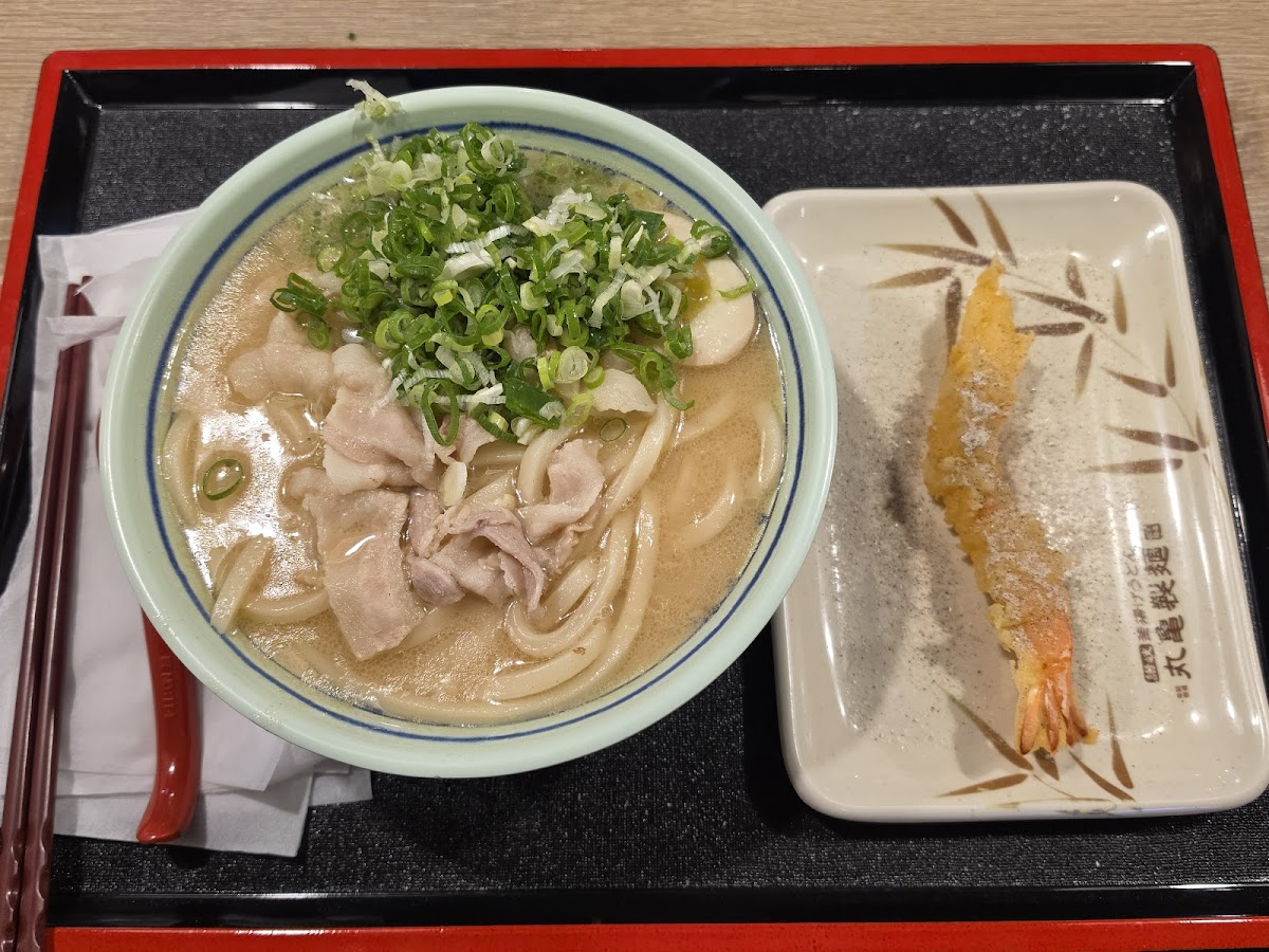 Marukame Udon-4
