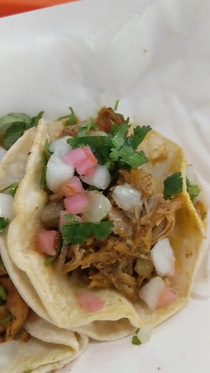 Masa | Mexican Street Food-2