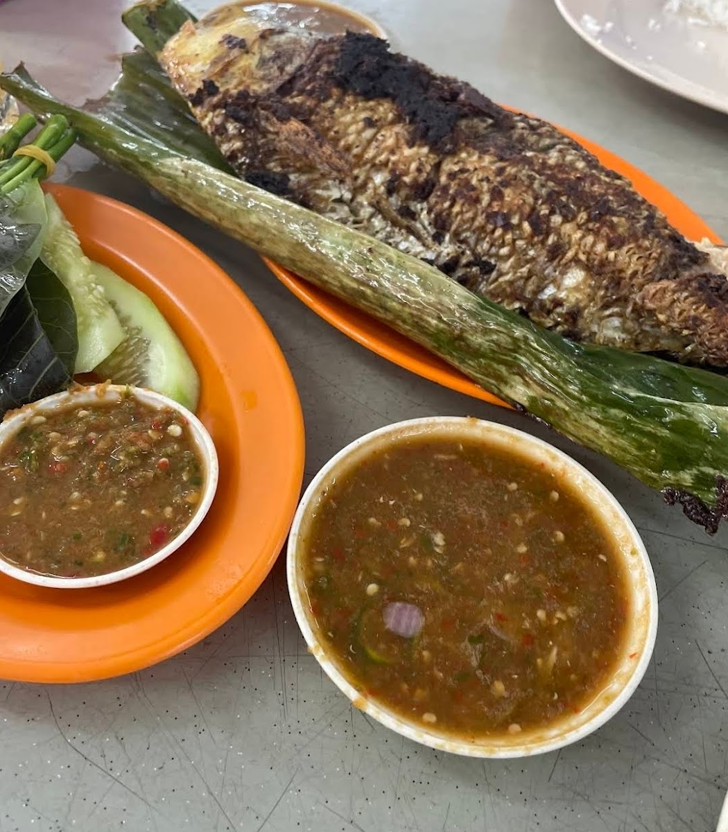 Mat Teh Ikan Bakar-4