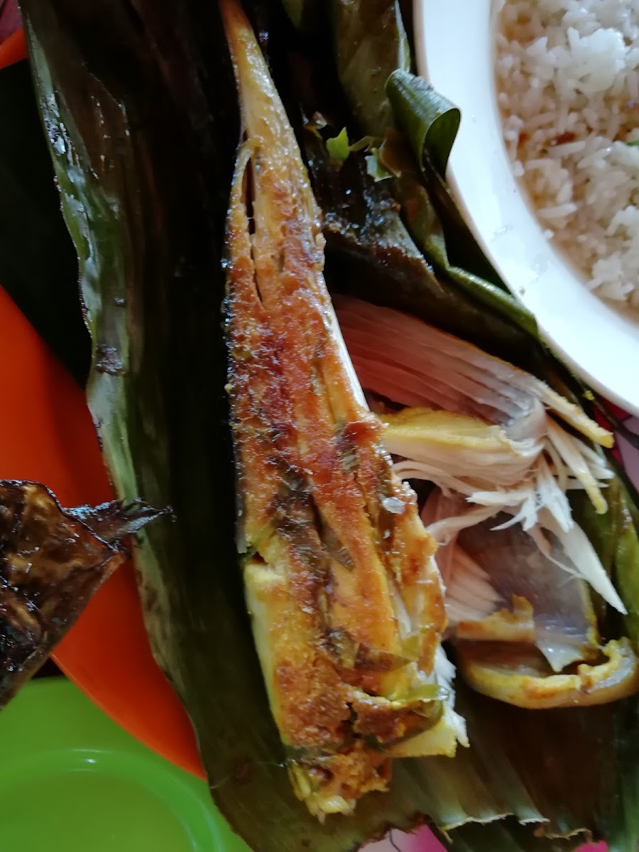 Mat Teh Ikan Bakar-7