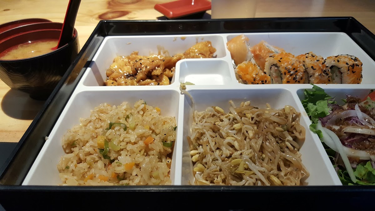 Matsuri - Plaza Real-5
