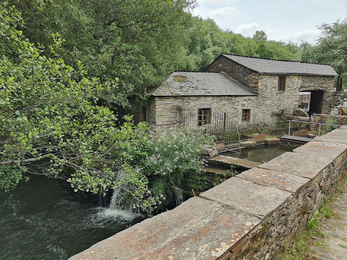 Mazo De Santa Comba-4