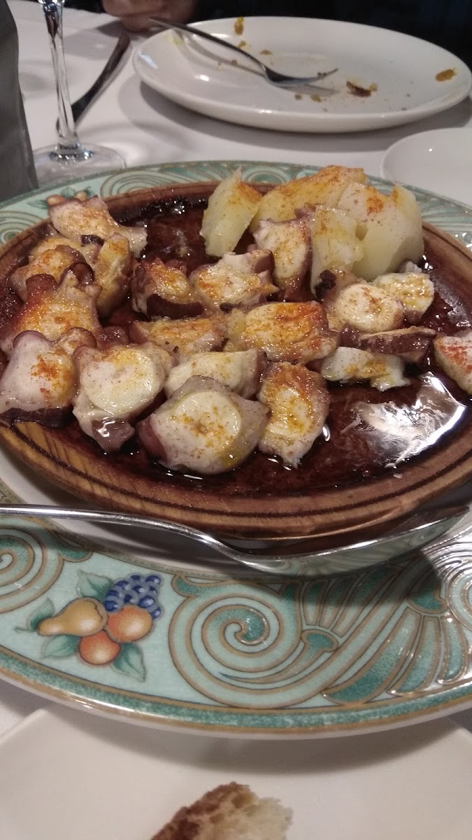 Mazo De Santa Comba-5