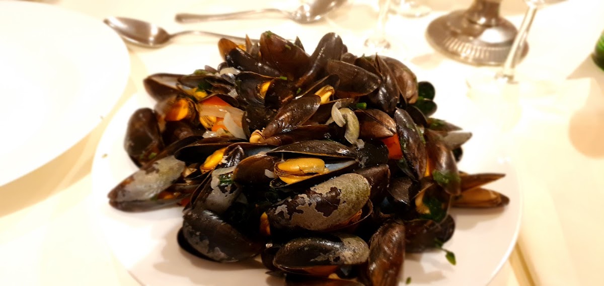Mediterraneo-9
