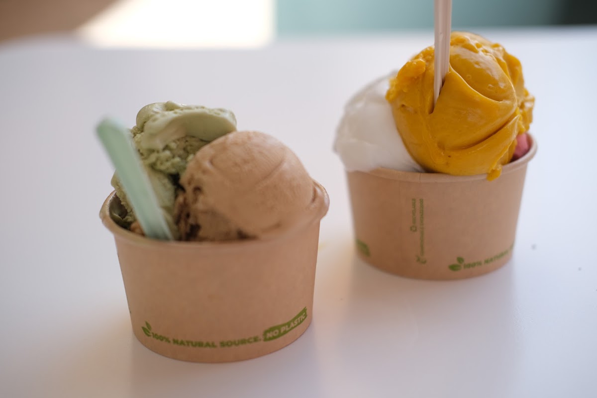 Meg Icecream-6